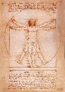 LEONARDO da Vinci Rule fur the proportion of the human figure oil painting